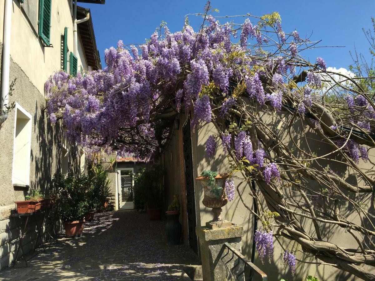 Villa Baronzola Montevarchi Eksteriør bilde